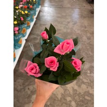 Denizin Garden Rose Mini Pembe Gül