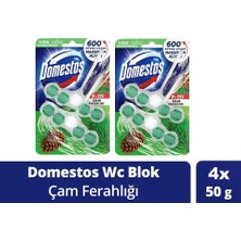 Domestos Wc Blok 5'li Güç Tuvalet Bloğu Çam Ferahlığı Maksimum Hijyen 100 gr x 2 Adet