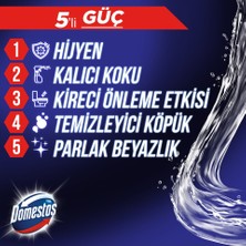 Domestos Wc Blok 5'li Güç Tuvalet Bloğu Çam Ferahlığı Maksimum Hijyen 100 gr x 2 Adet