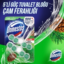 Domestos Wc Blok 5'li Güç Tuvalet Bloğu Çam Ferahlığı Maksimum Hijyen 100 gr x 2 Adet