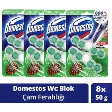 Domestos Wc Blok 5'li Güç Tuvalet Bloğu Çam Ferahlığı Maksimum Hijyen 100 gr x 4 Adet