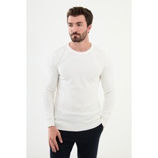 Desenli Ekru Slim Fit Bisiklet Yaka Erkek Triko Kazak
