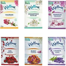 Dolap ve Çekmece Kokusu (Flowers) Çiçek Seri x6