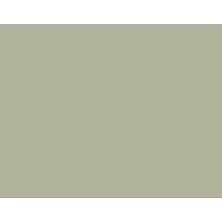 Derwent Drawing Pencil Renkli Çizim Kalemi 7120 Cool Grey