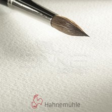 Hahnemühle 200 Sulu Boya Tabaka 200G Rough 50X65 10LU