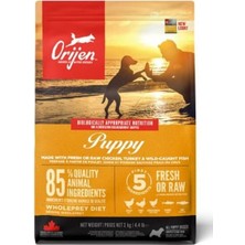 Orijen Puppy Tahılsız Yavru Köpek Maması 2 kg - Petshopundan