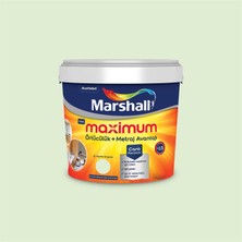 Marshall Buz Beyazı 15 Litre Maximum Su Bazlı Silikonlu Ipek Mat Iç Cephe Boyası (MARSHALL.5309481)