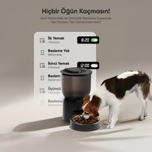 Şımart Akıllı Mama Kabı