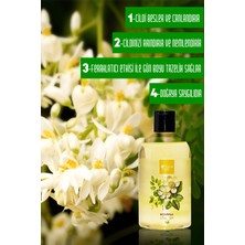 Thera Style Therastyle Moringa Arındırıcı Duş Jeli 500ML