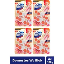 Domestos Tuvalet Bloğu Aroma Lux Yıldız Çiçeği & Ejder Meyvesi 100 gr x 4 Adet