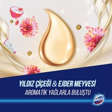 Domestos Tuvalet Bloğu Aroma Lux Yıldız Çiçeği & Ejder Meyvesi 100 gr x 4 Adet