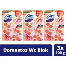 Domestos Tuvalet Bloğu Aroma Lux Yıldız Çiçeği & Ejder Meyvesi 100 G x 3