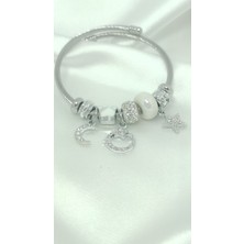 Stainless Steel Pandora Bileklik