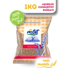 Mytat Doğal Yerli Üretim Aşurelik Cumhuriyet Buğdayı 1 kg