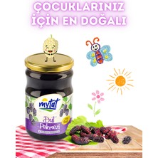 Mytat Doğal Katkısız Dut Pekmezi 800 gr (Cam Kavanoz)