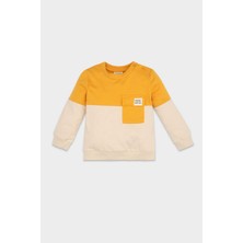 DeFacto Erkek Bebek %100 Pamuk Bisiklet Yaka Renk Bloklu İçi Yumuşak Tüylü Sweatshirt A9753A524WN