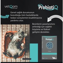 VetQom Kedi Probiotiq – Probiyotik + Prebiyotik Kompleks – 10 Saşe