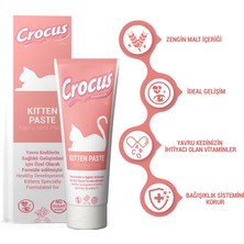 Crocus Kedi Kitten Malt Macunu 100 grx 2 Adet