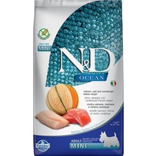 N&d Ocean Somon ve Morina Balıklı Kavunlu Mini Yetişkin Köpek Maması 2,5 kg - Petshopundan