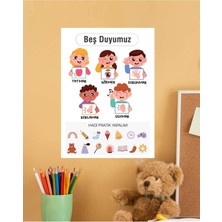 5 Duyu Organımız Çocuk Türkçe Eğitim Pvc Poster 30X42 cm