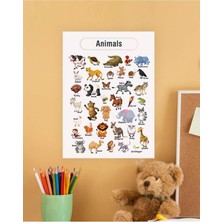 Animals-Hayvanlar Ingilizce Çocuk Eğitim Tekli Pvc Poster 21X30 cm