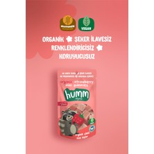 Organik Glutensiz Vegan Çilekli Mini Küpler - 30G