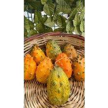 Kiwano (Boynuzlu Kavun)