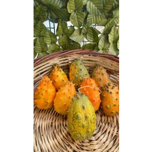 Kiwano (Boynuzlu Kavun)