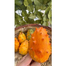 Kiwano (Boynuzlu Kavun)