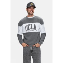 Ucla ARCHER Koyu Gri Bisiklet Yaka Pamuklu Nakışlı Loose Fit Erkek Sweatshirt