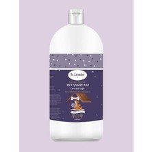 Dr. Lavender Lavanta Yağlı Köpek Şampuanı 1000 ml Antiseptik Pet Şampuanı Geniş Aile & Büyük-Küçük Irk