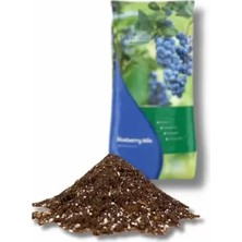 Neo Yaşam Yaban Mersini (Blueberry) Mix Toprak