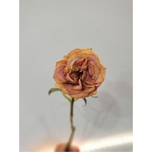 Harikabirev Harikabirev|rose-Turuncu-Krem Renk Soft Çiçek Kombin 2 |çerçeveli Cam Tablo 3lü Dikey