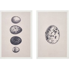 IKEA Björnamo Duvar Dekorasyonu, Çok Renkli, 20X30 Cm, 2 Adet, Yumurta