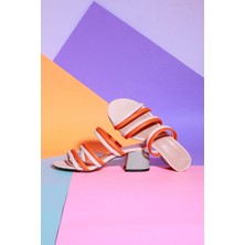 Günlük Kullanım Renklı Kadın Terlik