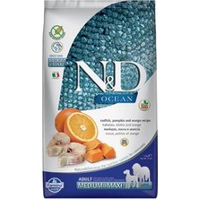 N&d Ocean Pumpkin Balkabaklı Balıklı Portakallı Medium Maxi Tahılsız Yetişkin Köpek Maması 2,5 kg