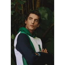 Altınyıldız Classics Erkek Beyaz-yeşil Standart Fit Normal Kesim Kapüşonlu Pamuklu Çizgili Sweatshirt