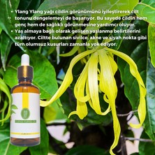 Ylang Ylang Yağı Esansı 50 ml