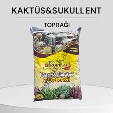 Yağmur Kaktüs Tropikal Kaktüs&sukullent Toprağı 2.5 Lt.