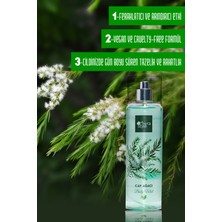 Therastyle Çay Ağacı Body Mist 200ML