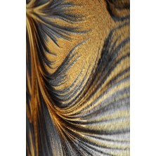 Harikabirev Siyah - Gold Renk  Zebra Yaprak ve Soyut Kombin  Çerçeveli Cam Tablo  3'lü Dikey