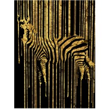 Harikabirev Siyah - Gold Renk  Zebra Yaprak ve Soyut Kombin  Çerçeveli Cam Tablo  3'lü Dikey