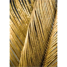 Harikabirev Siyah - Gold Renk  Zebra Yaprak ve Soyut Kombin  Çerçeveli Cam Tablo  3'lü Dikey