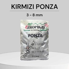 Yağmur Kaktüs Tropikal Kırmızı 3 - 8 mm 3 Lt. Ponza