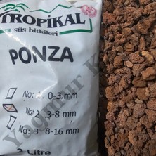 Yağmur Kaktüs Tropikal Kırmızı 3 - 8 mm 3 Lt. Ponza