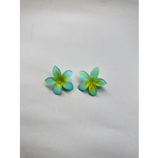 Yağmur Kaktüs Çiftli, Renkli Yandan Mandallı 4 cm Lotus Çiçeği Toka Kadın/kız/çocuk