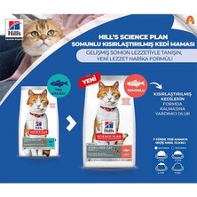 Hill's Scıence Plan Somonlu Kısırlaştırılmış Yetişkin Kedi Maması 8 kg + 2 kg