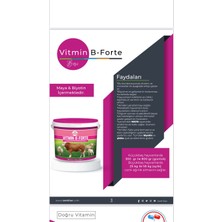 Zem Vitmin-B Forte Çiftlik Hayvanları Günlük Vitamin Mineral Dengeleyici Yem Katkısı 20 kg