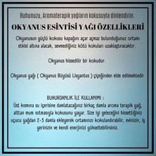 5'li Okyanus Esintisi Buhurdanlık Yağı Uçucu Aromaterapik 10 ml