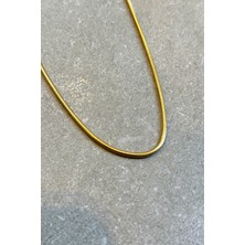 Mooni Accessories Italyan Roma Tasarım Gold Altın Renk 316L Paslanmaz Çelik 50CM Kolye